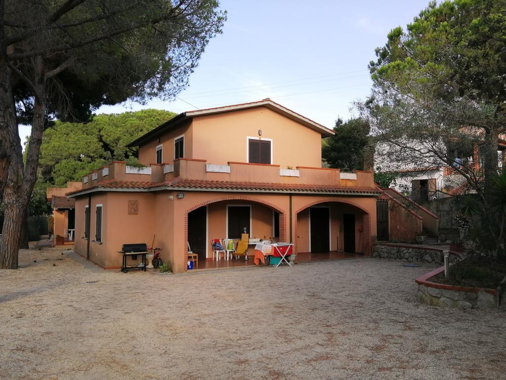 Lido Apartment *